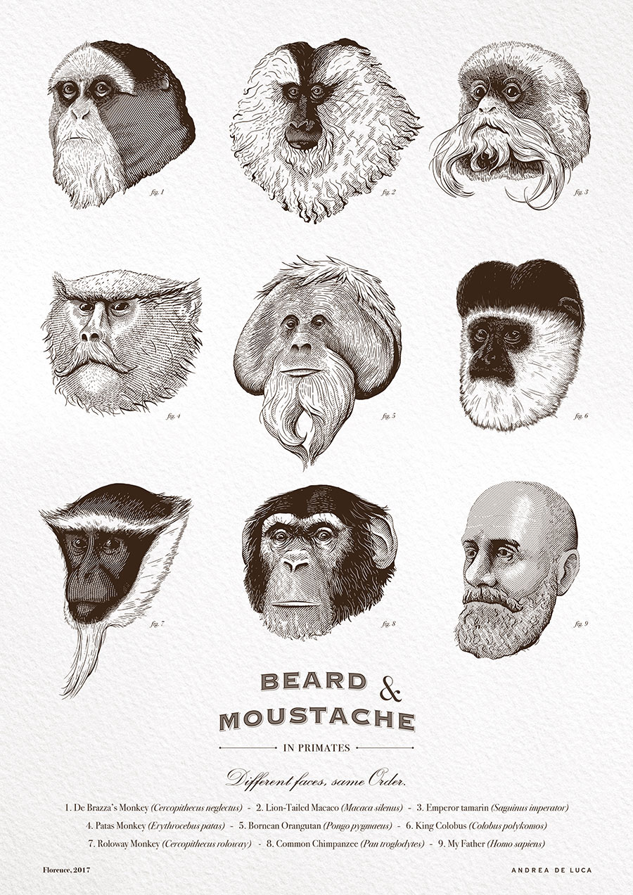 Monkey Beards Poster Illustration Andrea De Luca